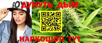 гашик Малгобек